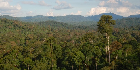Mountainous vista