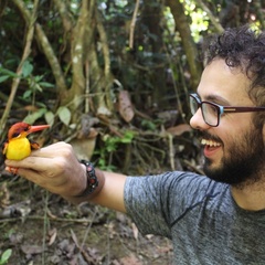 Dr Gianluca Cerullo