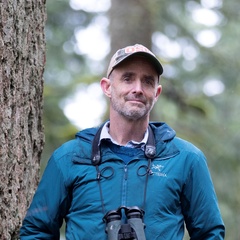 Professor Matt Betts