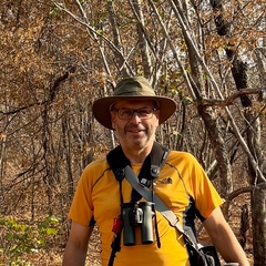 Professor Robert Freckleton