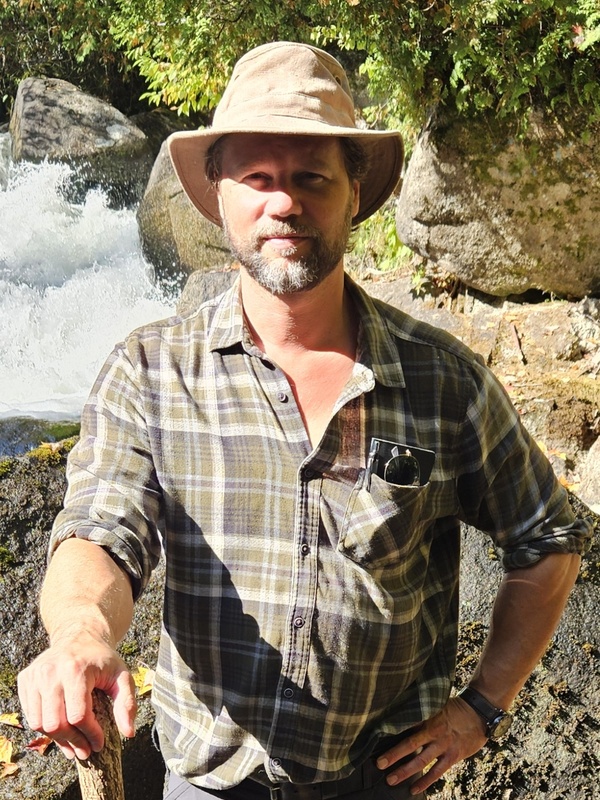 Professor Anthony Taylor