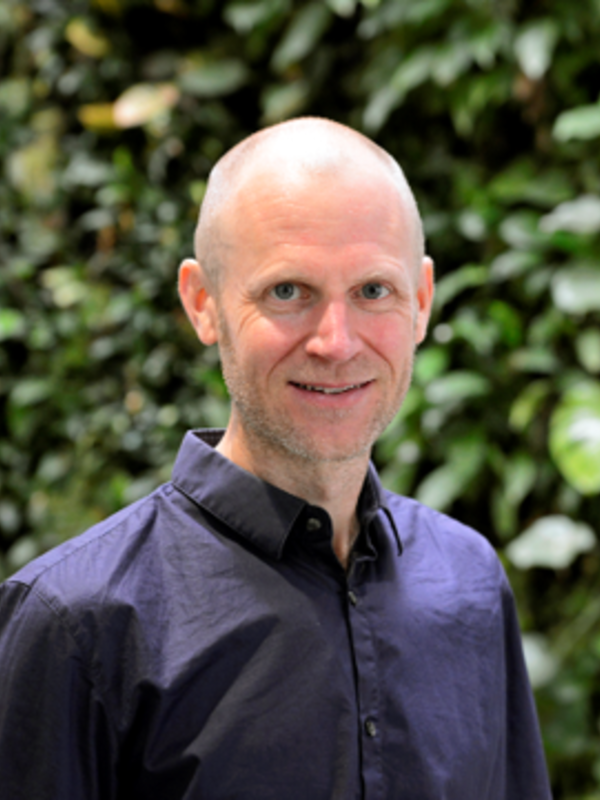 Professor David Edwards