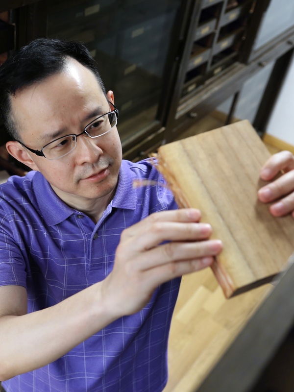 Professor Yafang Yin
